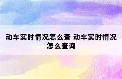 动车实时情况怎么查 动车实时情况怎么查询